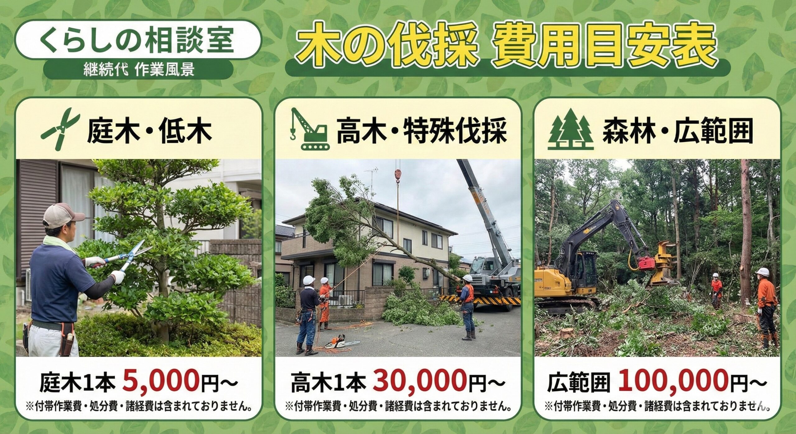 ギャラリー画像 3